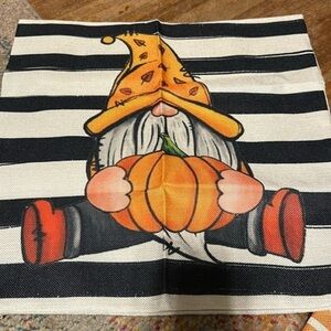 Pillow cover. 18 x 18 New! Zips open and closed measurements ap…